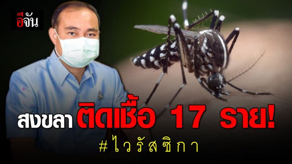 เตือน!! หน้าฝน ระวังโรคติดเชื้อไวรัสซิกา