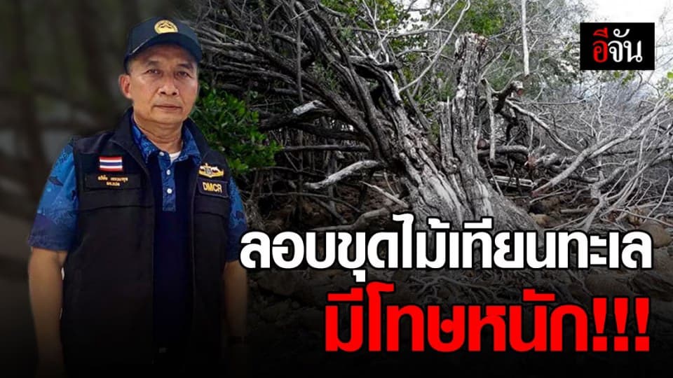 ทช.เอาจริง ! ลักลอบขุดไม้เทียนทะเล เจอโทษหนัก จำคุก 1 ปี ปรับ 1 แสนบาท หรือทั้งจำทั้งปรับ