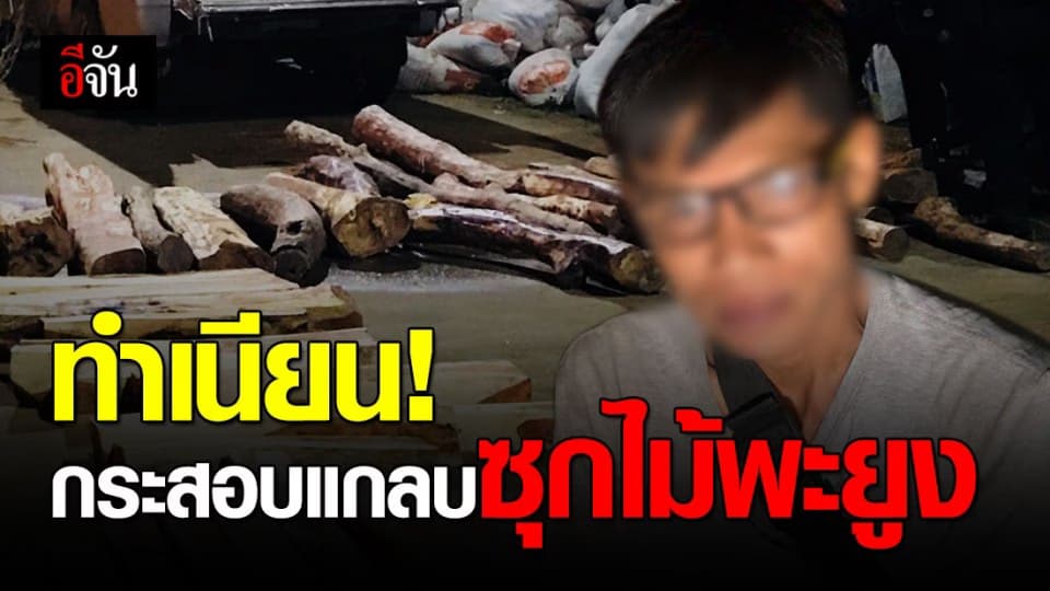 ทหารพรานจันทบุรี ซุ่มจับรถขนไม้พะยูง