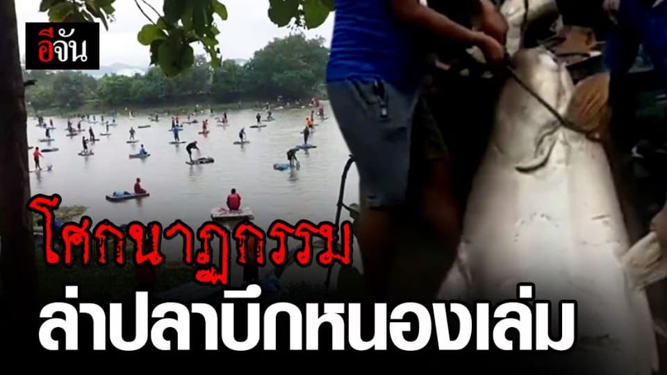 ชาวตากสุดสะเทือนใจ! อบต.จัดทอดแห ล่าปลาบึกในหนองน้ำประวัติศาสตร์
