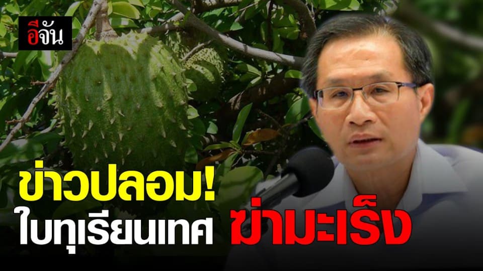 ข่าวปลอม! ใบทุเรียนเทศ มีฤทธิ์ฆ่ามะเร็งในคน