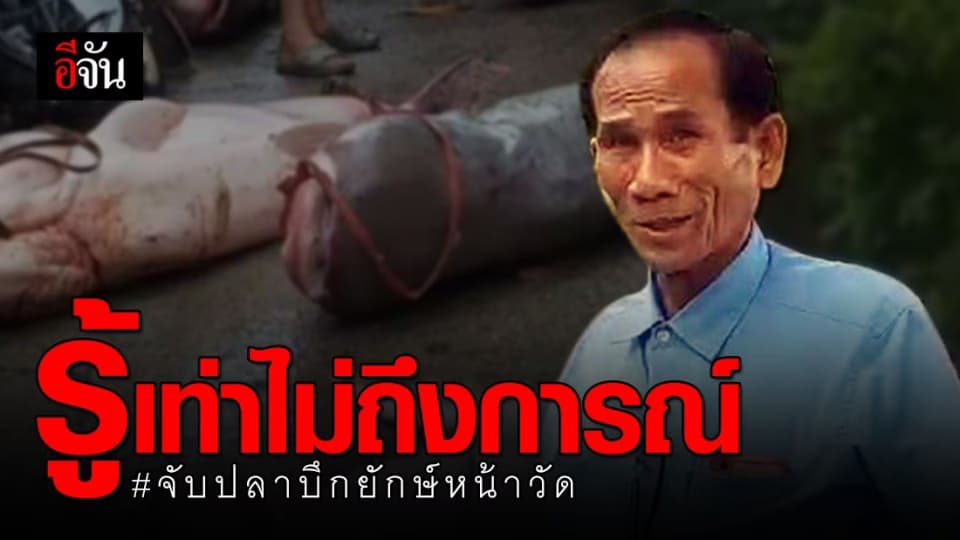 พ่อเมืองตาก สั่งสอบ! จัดงานจับปลาบึกยักษ์ หน้าวัดพระบรมธาตุ