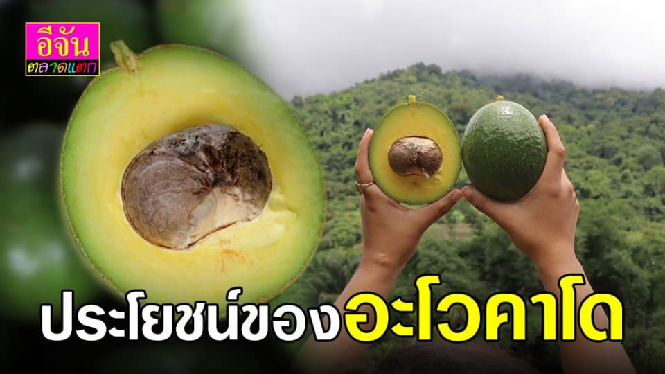 ทานอะโวคาโดแล้วได้อะไร?