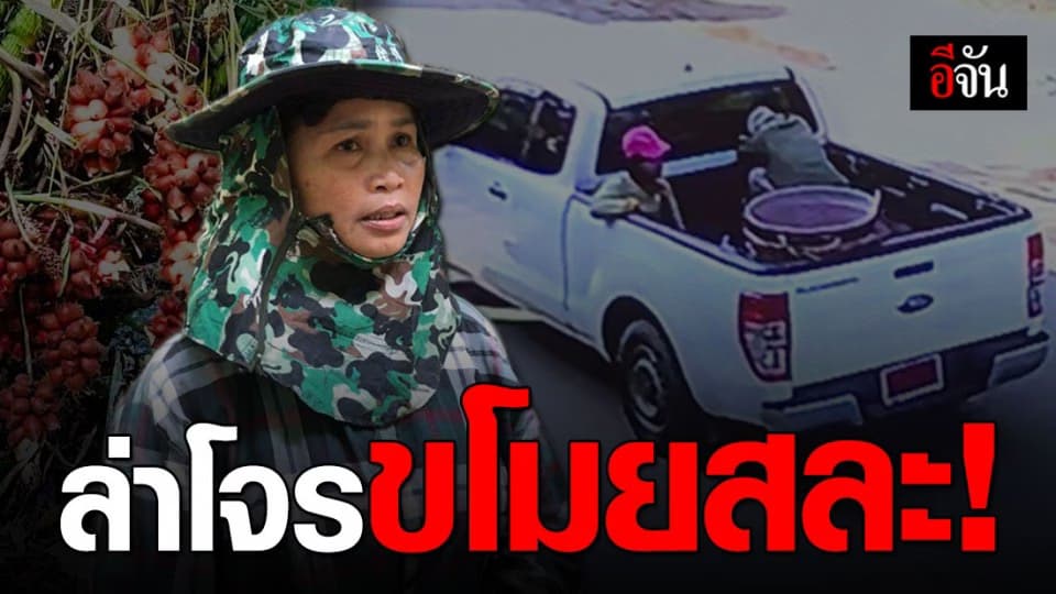 เจ้าของสวนสละลมจับ! หลังถูกโจรบุกขโมยสละสุกหมดสวน