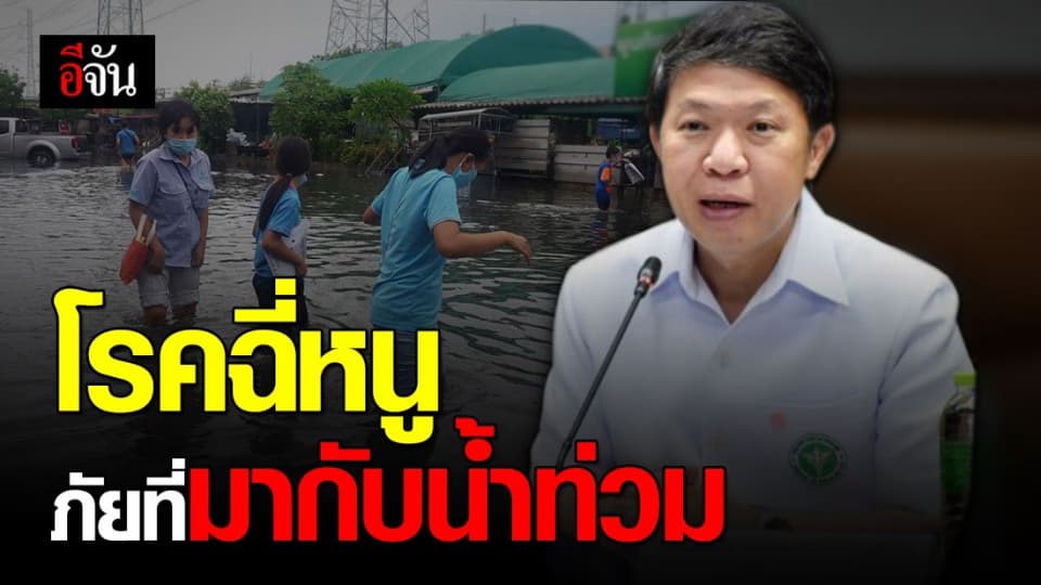 โรคฉี่หนู วายร้ายที่มักจะมากับน้ำท่วมขัง