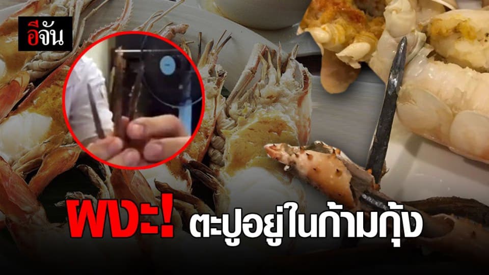 ช็อก! สาวเจอตะปู สอดไส้ในกุ้ง หวังเพิ่มน้ำหนัก