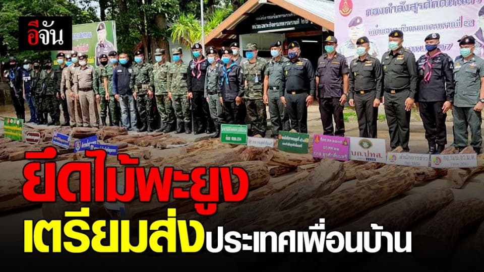 จับไม่หมดไม่สิ้น! ยึดไม้พะยูง เตรียมส่งประเทศเพื่อนบ้าน มูลค่ากว่า 1.5 ล้าน