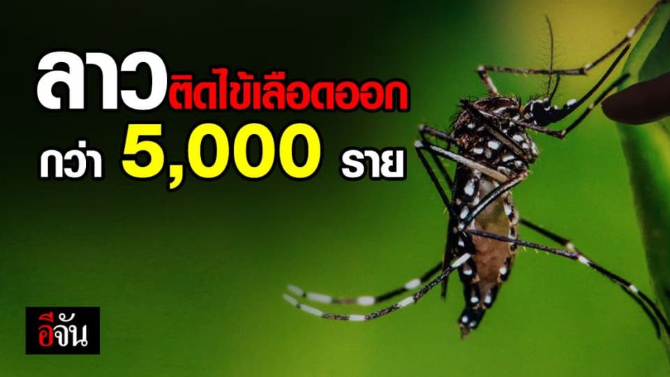 ไข้เลือดออกคร่าชีวิตคนลาวแล้ว 9 ราย ติดโรคกว่า 5,000 ราย