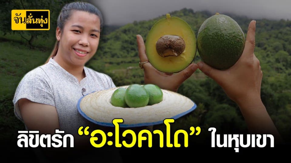 ตามหา “อะโวคาโด” ให้หุบเขา