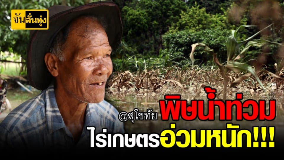 แทบทรุด!!! ชาวเกษตรกรโอด น้ำซัดไร่เกษตรเสียหายหลายแสน