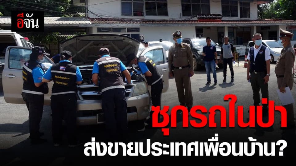 เร่งสืบหาที่มา รถกระบะ 4 คันซุกในป่า