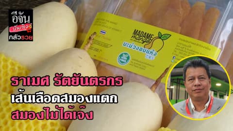 ซีรีส์กลัวรวย ตอน ราเมศ รัตยันตรกร เส้นเลือดสมองแตก สมองไม่ได้เจ๊ง