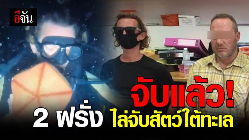 รวบแล้ว 2 ฝรั่ง น้ำไล่จับสัตว์ใต้ทะเล พร้อมดำเนินคดีทุกข้อหาหากพบทำผิด!