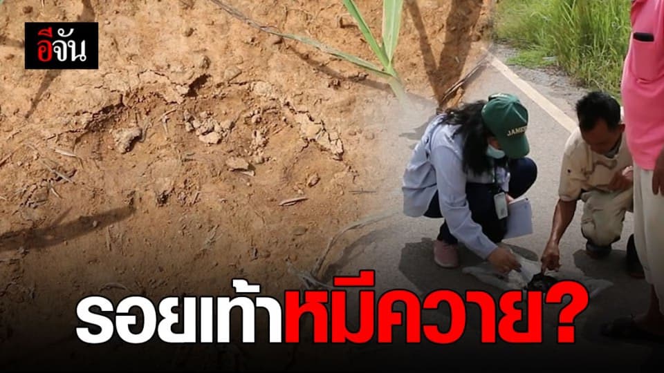 ชาวบ้าน เร่งค้นหาหมี หลังพบรอยเท้าขนาดใหญ่ เตือนระวังอันตราย