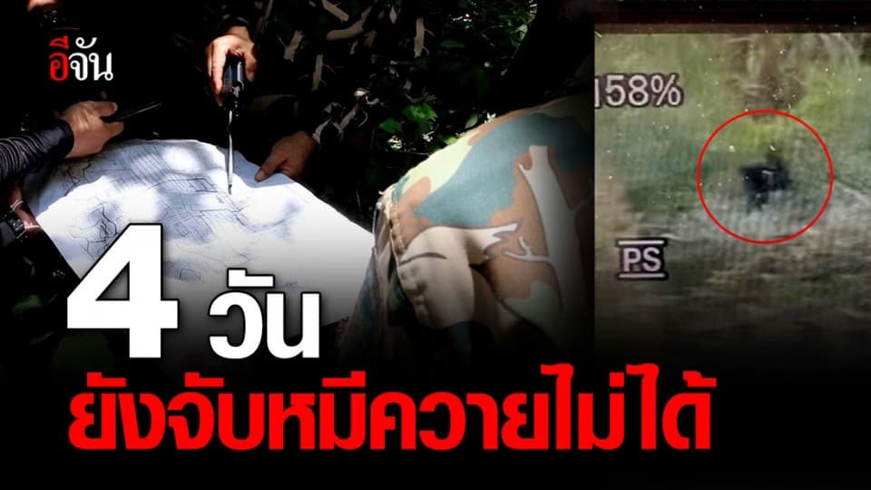 4 วัน ยังจับหมีควายไม่ได้! ล่าสุดพบรอยเท้าที่ป่าชุมชนผาสววรค์ จ.ขอนแก่น