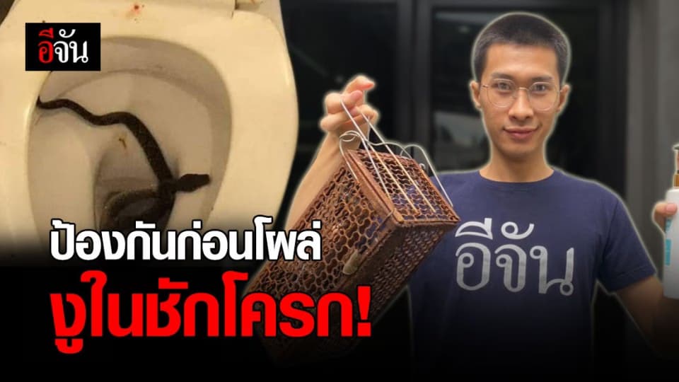 ป้องกันไว้ก่อน! เปิด 8 วิธี ป้องกันงูในชักโครก