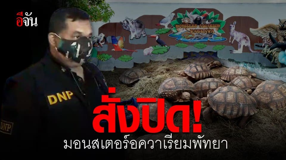 สั่งปิด มอนสเตอร์อควาเรียมพัทยา ไร้ใบอนุญาตเปิดกิจการสวนสัตว์