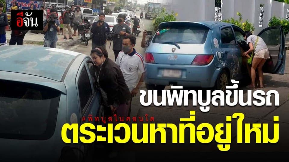 นาทีระทึก! สัตวแพทย์วางยาสลบพิทบูล หลัง คุณหงส์ ขนพิทบูลขึ้นรถ ตระเวนหาที่อยู่ หวั่นเกิดอันตรายกับชาวบ้าน