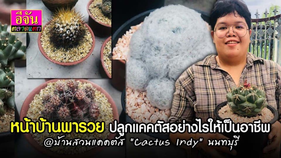 เปลี่ยนให้ที่ว่างหน้าบ้าน เป็นสวนปลูกแคคตัสเงินล้าน