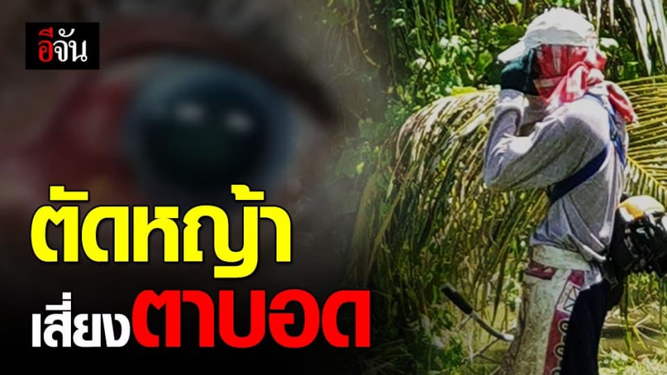 อันตรายมาก! หมอเตือน ตัดหญ้าระวังใบมีดกระทบหิน กระเด็นเข้าตา