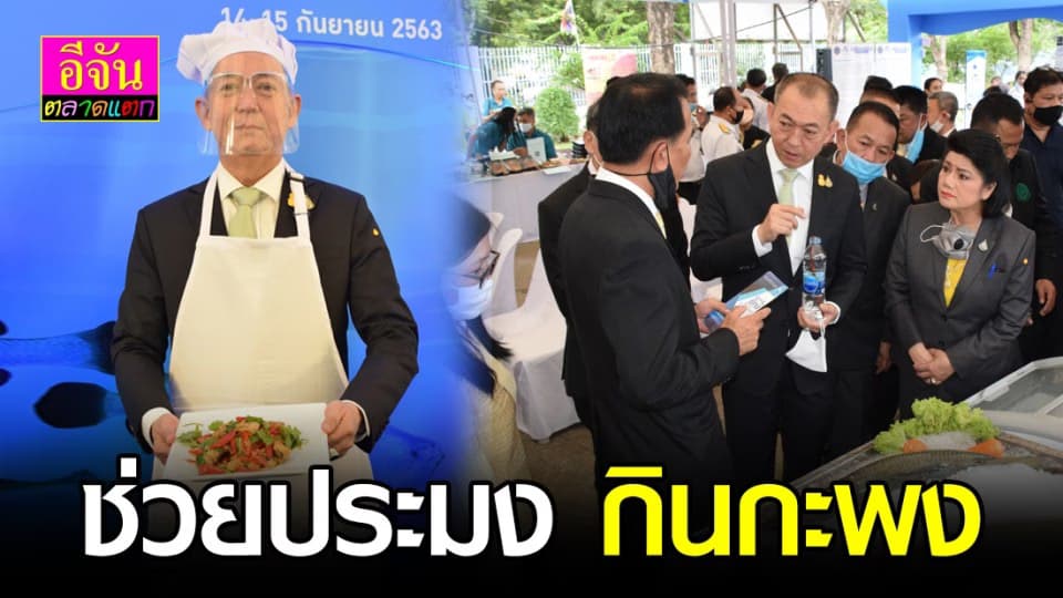 กรมประมงจัดกิจกรรมหวังช่วยผู้เลี้ยงกะพงขาวฟื้นตัว แก้ปัญหาปลาล้นบ่อ