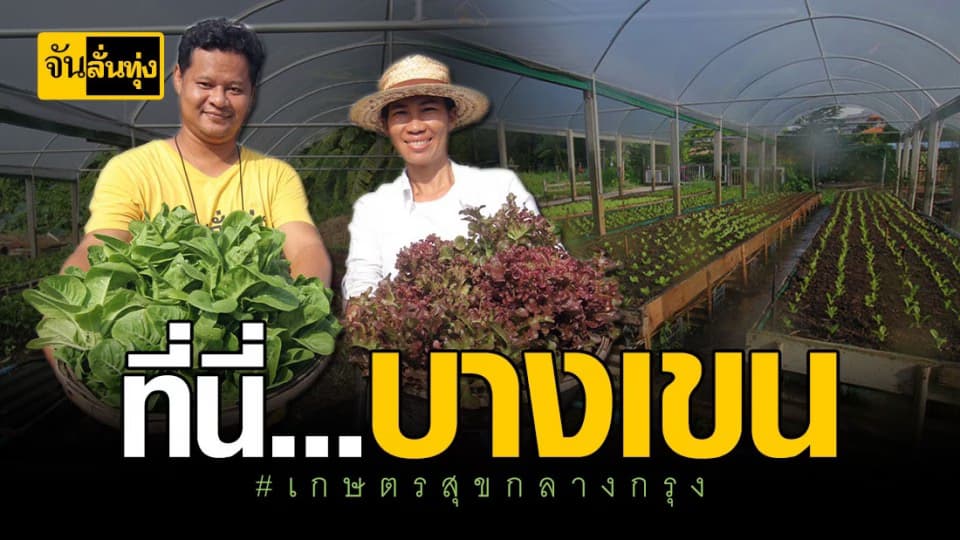 เนรมิตเนื้อที่ 3 งาน เป็นสวนเกษตรกลางกรุง ปลูกผักปลอดสารพิษ