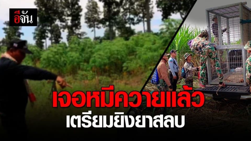 ลุยต่อวันที่ 9 ภารกิจจับหมีควาย พบพิกัดล่าสุดที่บ้านโนนทองหลาง จ.ขอนแก่น