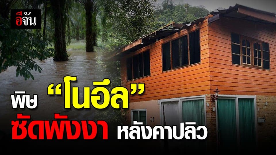 พายุโนอึล ซัดทั้งลม-ทั้งฝน! ถล่มพังงา เสียหายกว่า 7 ตำบล