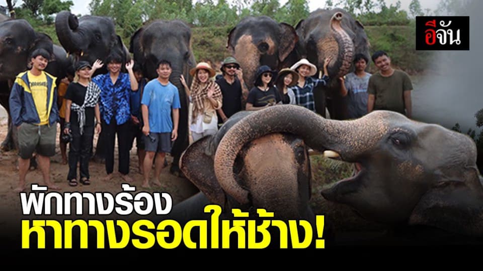 เปิดใจวงวรินทร์ กับความสุนทรีย์เพื่อช่วยช้างตกงาน