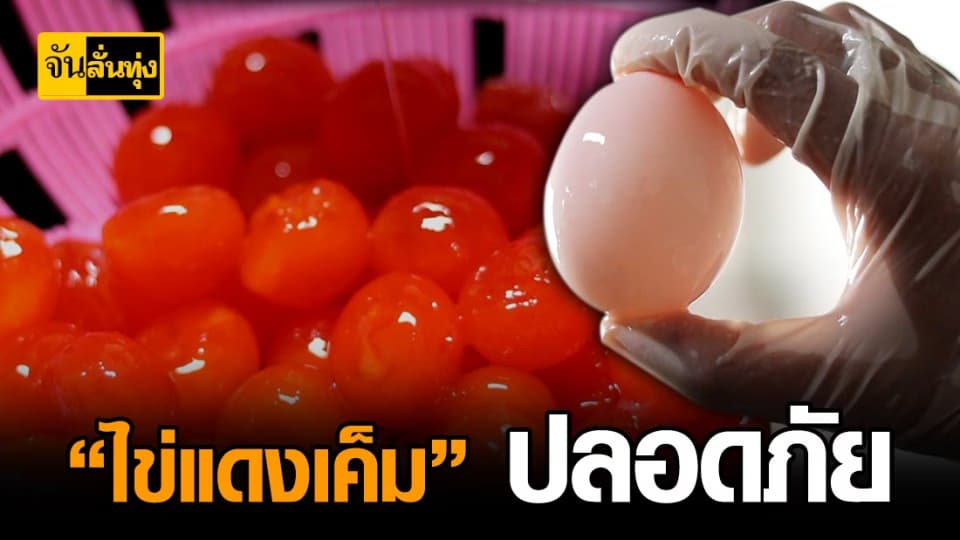 อัญมณีจากเล้าเป็ด ไข่แดงเค็มพรีเมี่ยม