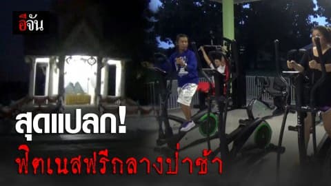 มาออกกำลังกายด้วยกันไหม ? ฟิตเนสฟรี กลางป่าช้า