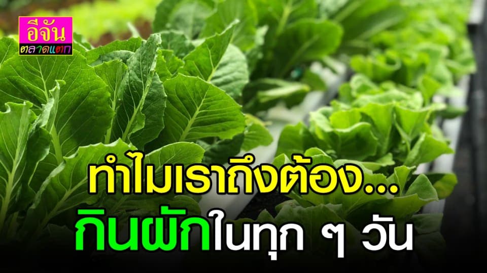 รู้หรือไม่การกินผักช่วยยืดอายุเราได้