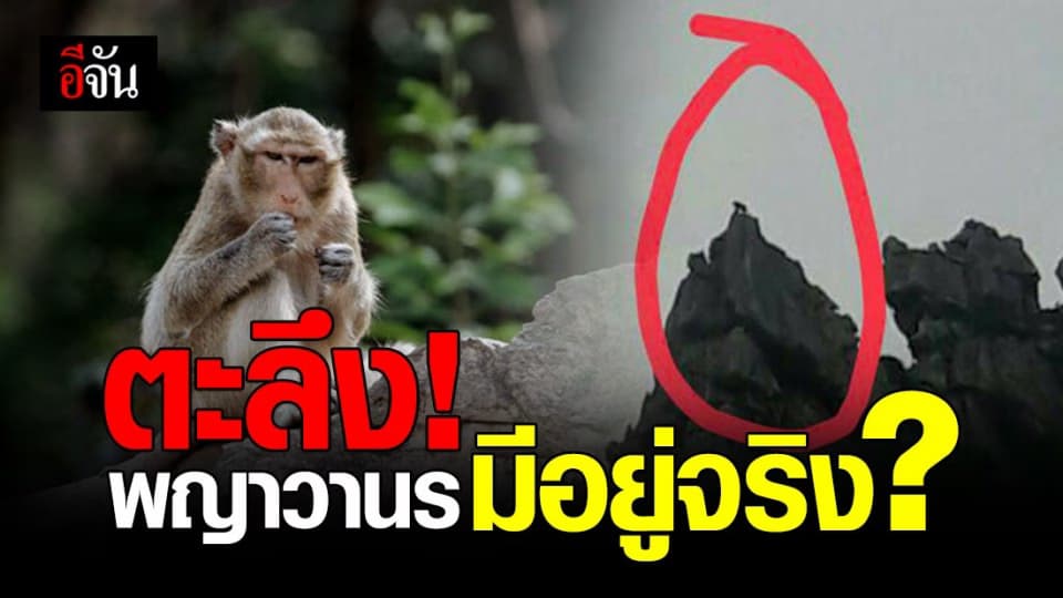 เอ๊ะตัวอะไร? เจอลิงยักษ์ตัวเท่าคน บนยอดเขาหน่อ