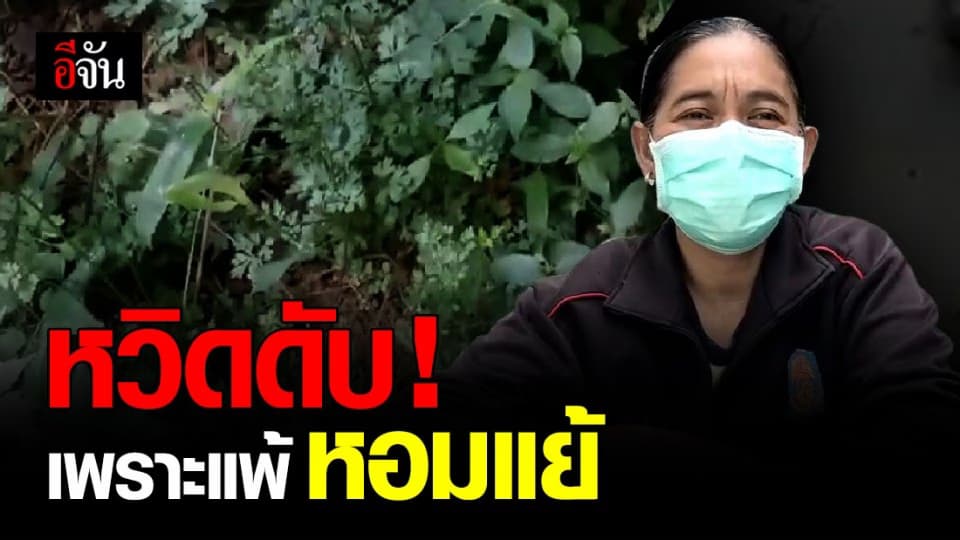 แม่บ้าน จ.แพร่ จุกอกหายใจไม่ออก เพราะชิมแกงแคใส่หอมแย้!