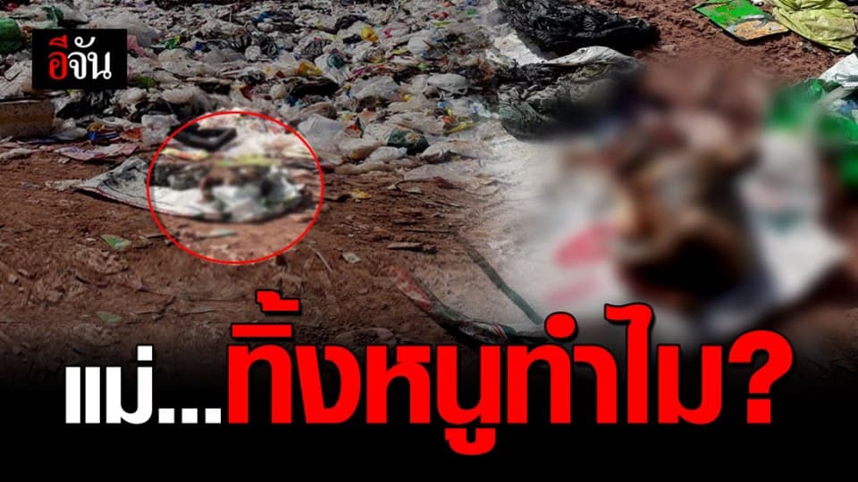 สลดใจ ! พบศพทารก 1 วัน ถูกทิ้งกลางกองขยะ