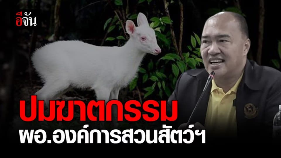 เปิดภารกิจสืบชิ้นสุดท้าย ของ ผอ.องค์การสวนสัตว์ฯ ก่อนถูกยิงดับ
