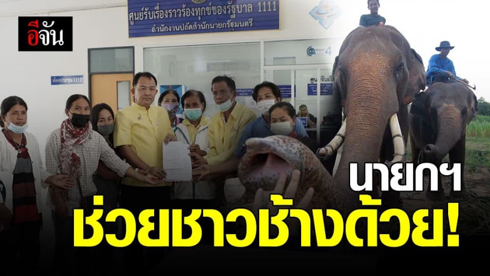 ชาวช้างสุรินทร์ บุกร้องทุกข์รัฐบาล ช่วยช้างตกงานด้วย