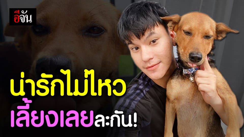 ทนความน่ารักไม่ไหว! หนุ่มเมาเอาหมากลับบ้าน ตัดสินใจรับเลี้ยงเจ้าตูบแล้ว