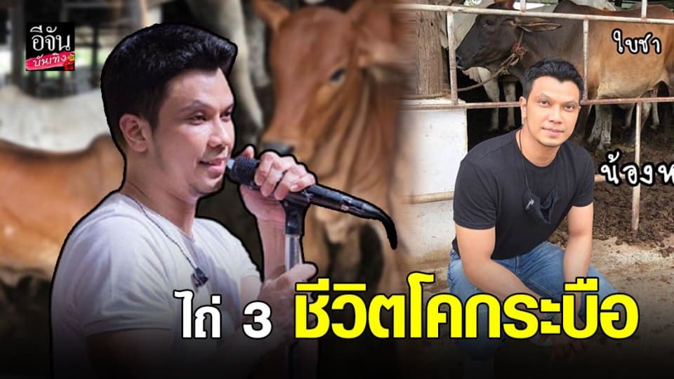 “หนุ่ม กะลา” เดินหน้าสร้างบุญใหญ่ ไถ่ชีวิตโคกระบือ