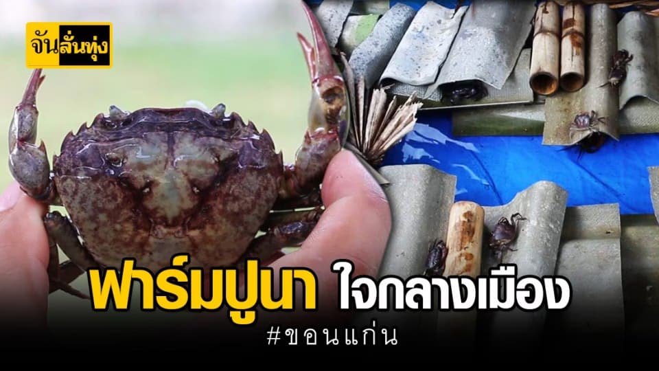 ครบวงจรกินเที่ยว ฟาร์มปูนา ใจกลางเมือง #ขอนแก่น