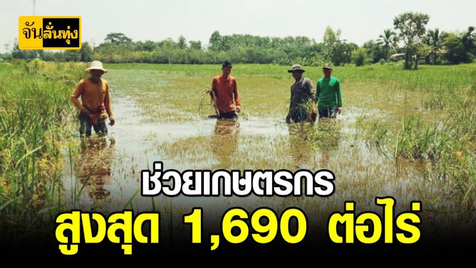 เตรียมชดเชยพื้นที่เกษตรเสียหาย