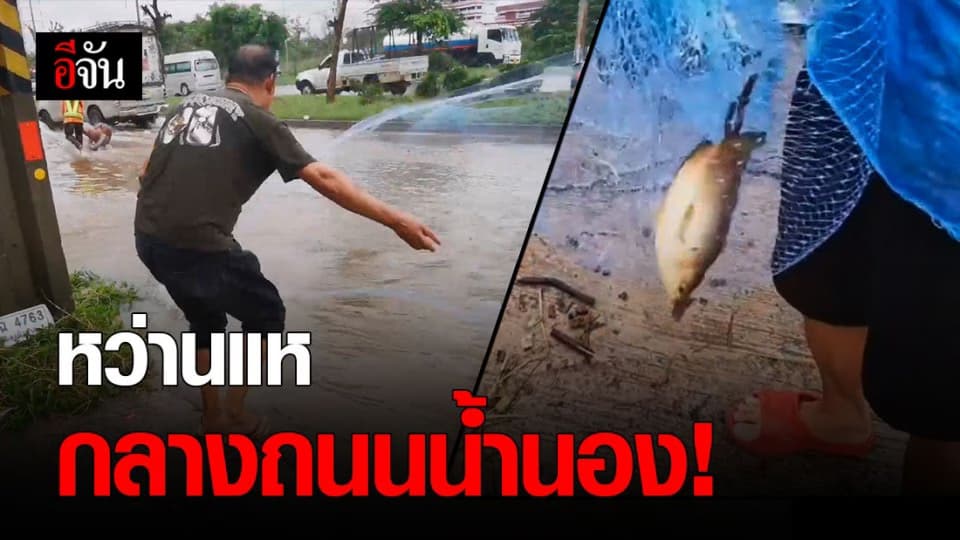 พลิกวิกฤติน้ำท่วม หนุ่มโคราชหว่านแหหาปลากลางถนน!