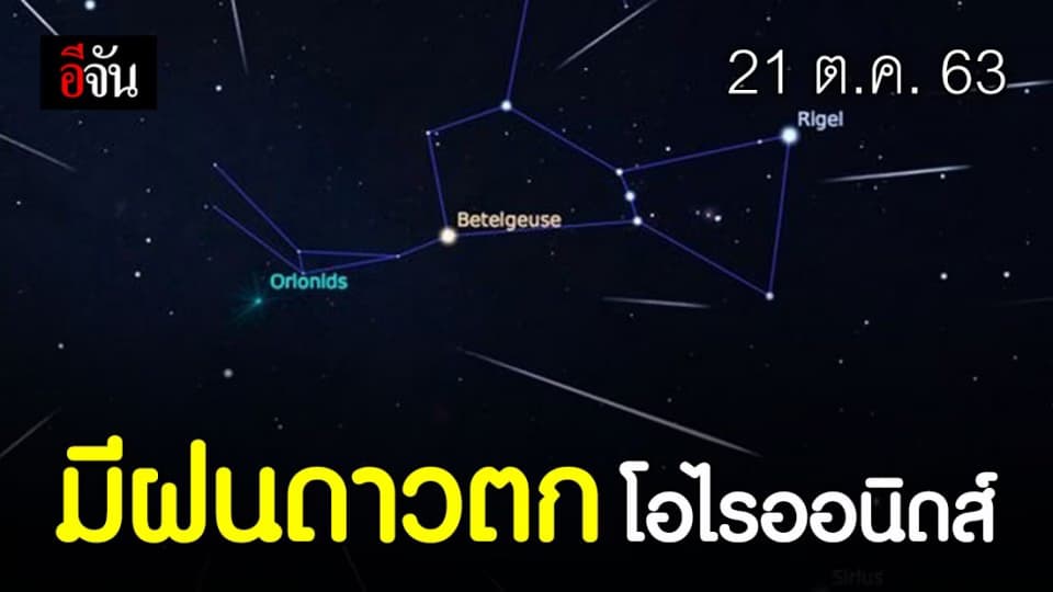 ชวนดูฝนดาวตกโอไรออนิดส์ 21 ต.ค.63 มองเห็นด้วยตาเปล่า