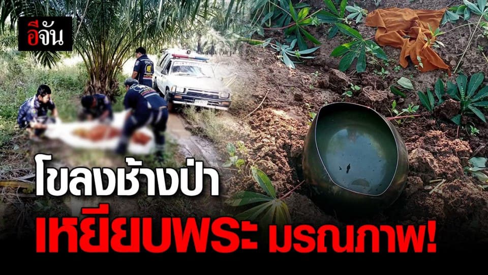 โขลงช้างป่า 30 ตัว เหยียบพระออกบิณฑบาต มรณภาพ