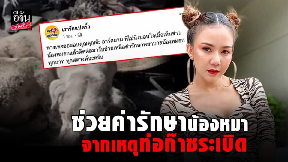 จ๊ะ อาร์สยาม ช่วยค่ารักษา น้องหมอก หมาที่เจ้าของโดนไฟคลอกเสียชีวิต