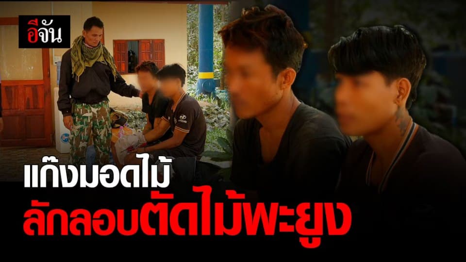 รวบ แก๊งมอดไม้ ลักลอบตัด ไม้พะยูง ใน ขสป. ห้วยทับทัน