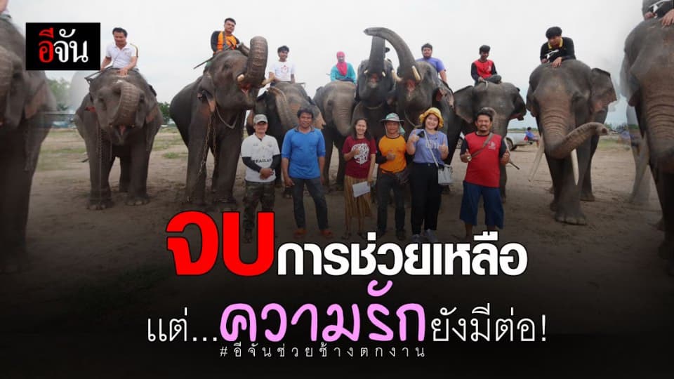 สิ้นสุดโครงการสังคมอีจันช่วยช้างตกงาน จ.สุรินทร์ ชาวช้างน้ำตาคลอ ยกมือขอบคุณด้วยหัวใจ