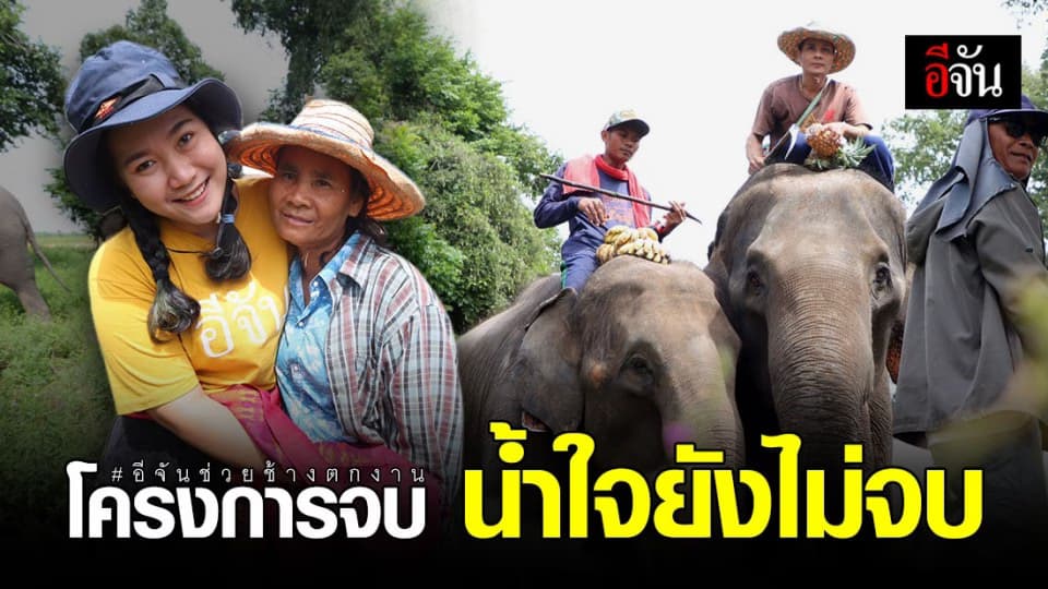 ดีใจ! สิ้นสุดความช่วยเหลืออีจันช่วยช้างตกงาน คนใจดีสานต่อสุขทันที