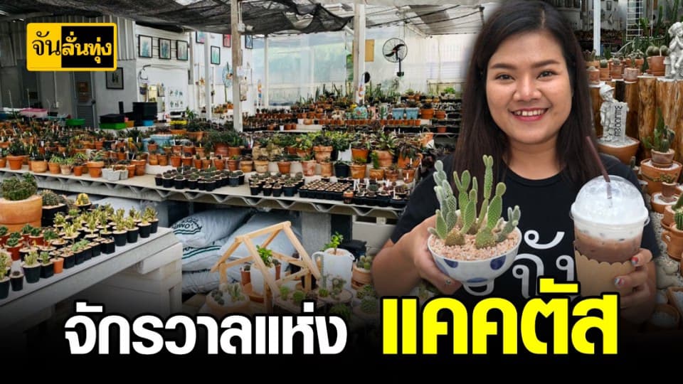 อลังการล้านแปด แคคตัส ย่านกลางเมืองกรุง