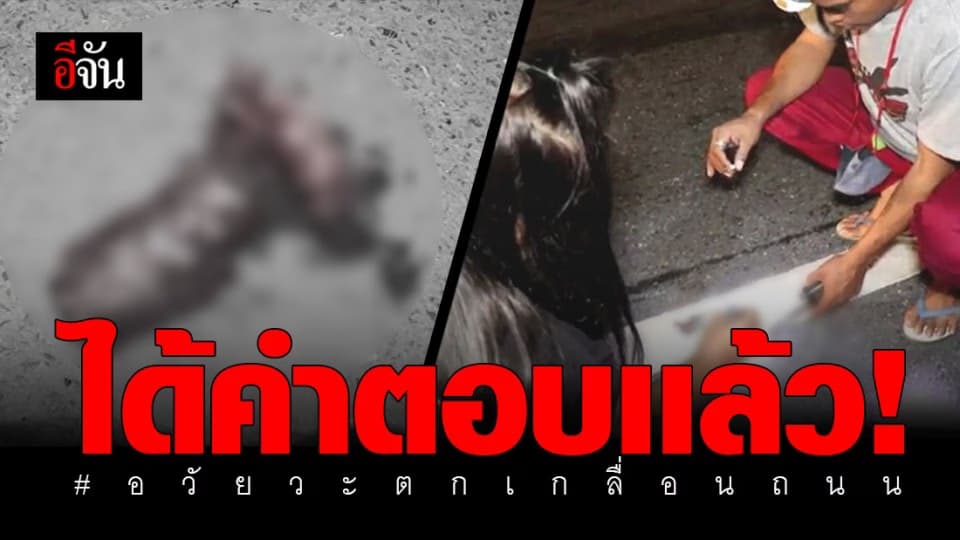 ผลชันสูตรออกเเล้ว! เหตุสยอง อวัยวะเกลื่อนถนน จ.อยุธยา